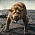 Disney Movies - Mufasa: Lví král se představuje v první upoutávce