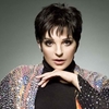 Liza Minnelli v seriálu Smash