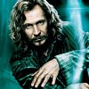 Gary Oldman se nabídl k roli Brumbála, hodil by se do role bradavického ředitele?