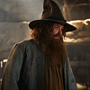 Tom Bombadil