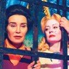 Jessica Lange a Susan Sarandon nám přiblíží největší svár Hollywoodu