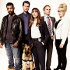 Sitcom Angie Tribeca si udělal srandu z HBO a vytvořil si svůj vlastní kus ledu