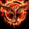 The Hunger Games: Mockingjay – Part 1 (2014)