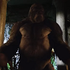 Příště uvidíte: Gorilla Grodd konečně na scéně