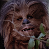 Chewbacca vám přeje veselé Vánoce a zazpívá vám Tichou noc