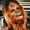 Dočkáme se ve filmu o Hanu Solovi konečně Chewbaccovy manželky?