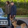 Sneak Peek: Dog Dean Afternoon