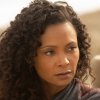 Thandie Newton získala Cenu kritiků