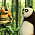 Kung Fu Panda: Legends of Awesomeness - S01E01: Scorpion's Sting