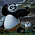 Kung Fu Panda: The Paws of Destiny - S01E13: End of the Dragon Master