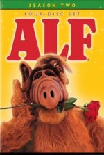 ALF (Alf)