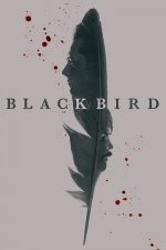 Black Bird (Volavka)