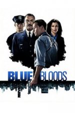 Blue Bloods (Spravedlnost v krvi)