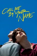 Dej mi své jméno (Call Me by Your Name)