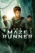 Labyrint: Útěk (The Maze Runner)