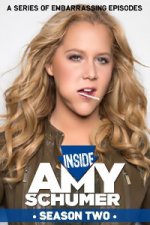 Inside Amy Schumer (Amyino plodné lůno)