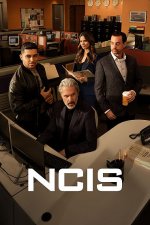 NCIS (Námořní vyšetřovací služba)