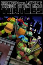 Teenage Mutant Ninja Turtles (2012) (Želvy Ninja)