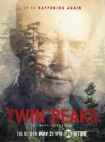 Twin Peaks (Městečko Twin Peaks)
