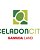 celadoncitynet